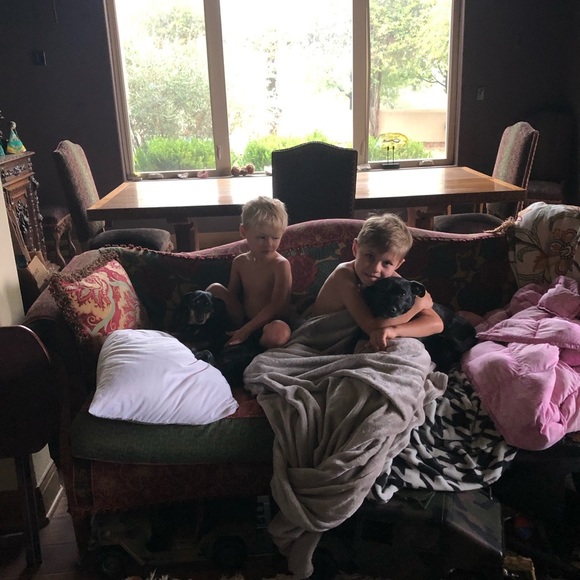 DOG FRIENDLY ENVIRONMENT😂 - Picture 16 of 16